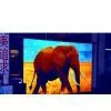Sell Indoor Sub-SMD Full Color LED Display thumbnail-1