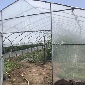 200 Micron Ldpe uv Transparent Agricultural Plastic Filmsheeting, Greenhouse Clear Polyethylene Films Covering Roll 10m Width thumbnail-3