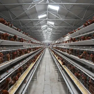 Battery Layer Chicken Cage & Poultry Cages thumbnail-2