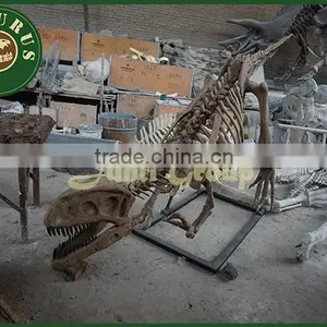 Lisaurus I High Quality Dinosaur Skull Puzzle Dinosaur Steel Skeleton for Sale for Theme Park Dino Park Dinosaur Skeleton Model thumbnail-4