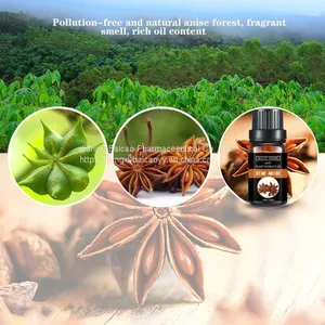 Star Anise Seed Oil Anise Oil Nature Essential Anise Oil Pharmaceutical Grade Food Grade thumbnail-4