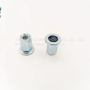M10 Flat Head Hexagon Rivet Nuts UNC Thread YJT 8003 thumbnail-1