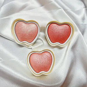 Customized Blusher Palette With High Lighter Face Powder Oem Highlighting Blusher Bronzer Makeup Palette thumbnail-1