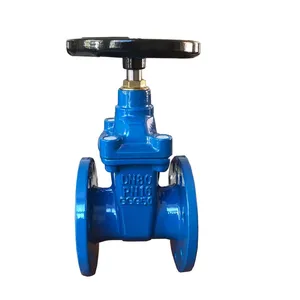 BS Rising Stem Resilient Seat Gate Valve Flanged End PN16 PN25 thumbnail-5