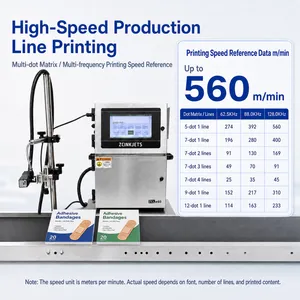 Adhesive Bandage Packaging Coding Machine for Medical Pouches Lot Expiry Date Printing thumbnail-2