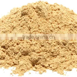 Superior Quality Amla Powder Bulk Producers thumbnail-2