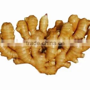 Fresh Ginger 2015new Crop thumbnail-3
