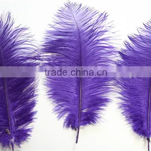 14"-16" Wholesale Purple Ostrich Feather Fabric For Ostrich Feather Fan Decoration thumbnail-6