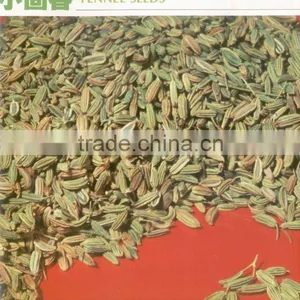 Cummin Seeds thumbnail-1