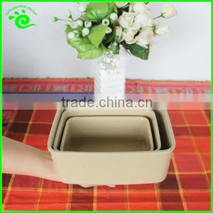 BPA-free Biodegradable Food Container With Leak-Proof Lid thumbnail-6