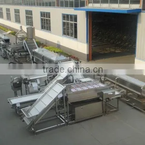 Peach Processing Line/canned Peach Processing/hot Sale Canned Peach Processing Line/fruit Processing Line thumbnail-1