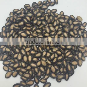 Hybrid Watermelon Seed thumbnail-3