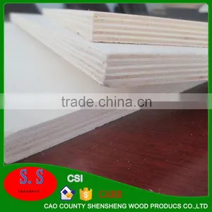 15mm*1220*2440 Film Faced Shuttering Construction Plywood Panels thumbnail-5