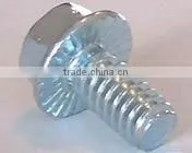 Serrated Hex Flange Screws thumbnail-1