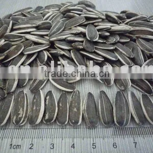 Sunflower Seeds thumbnail-1