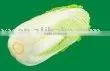 White Chinese Cabbage thumbnail-1