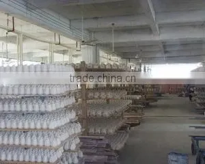 Fujian Dehua Datang Ceramics Co., Ltd. company overview - view 3 thumbnail