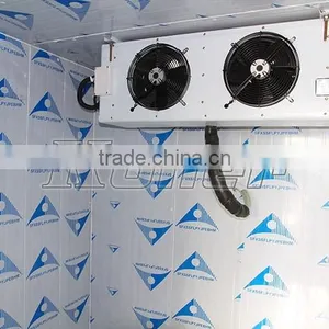 2016 Hot Sale 12 Tons Cold Storage Room With Evaporator Unit for Fruits & Vegetables VCR40 thumbnail-4