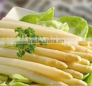 Canned White Asparagus Spears in Tall Glass Jars 370ml thumbnail-5