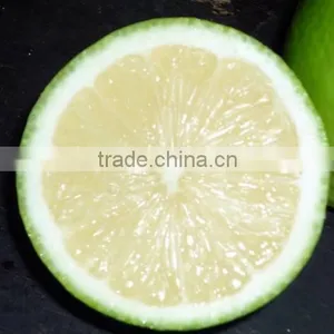 Fresh Lime thumbnail-1