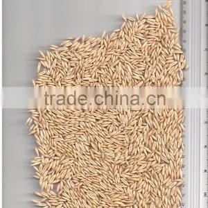 OATS thumbnail-1