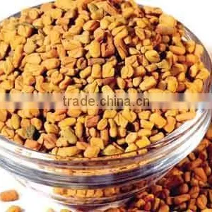 FENUGREEK SEEDS thumbnail-2
