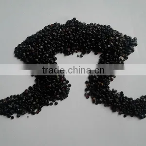 High Quality Pure Seeds Morning Glory thumbnail-5