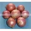 High Quality Non-Peeled Part and Fresh,Fresh Style Fresh Onion Promotion thumbnail-3