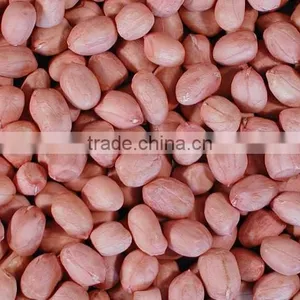 Roasted Peanuts thumbnail-4