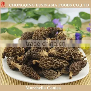 Market Prices for Wild Mushroom,morel Mushroom Price thumbnail-1
