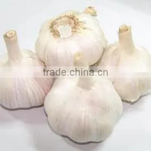 Bulk Spices of Chines Garlic thumbnail-3