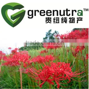 Galanthamine/lycoremine /Lycoris Extract thumbnail-1
