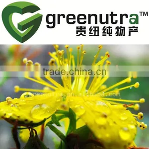 St. John's Wort Extract thumbnail-1