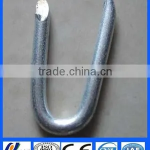 Galvanzied U Shaped Nails thumbnail-1