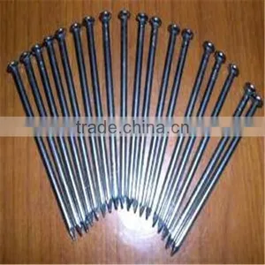 Common Nail / Common Wire Nail / Common Iron Nail thumbnail-5