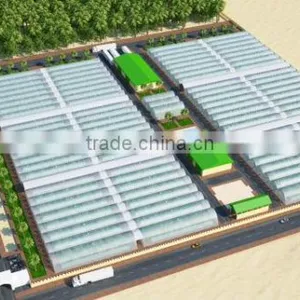 Commercial Greenhouse for Agriculture thumbnail-1