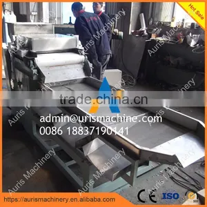 Peanut/hazelnut/walnut/almond Cutting Crushing Machine for Sale thumbnail-4