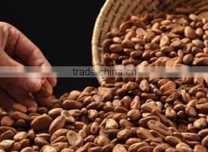 Cocoa Bean Cleaning Machine for Sale in Africa thumbnail-6