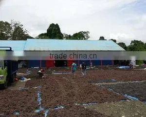 Cv Bintang Mas Sportindo company overview - view 1 thumbnail