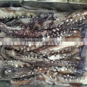 Frozen Giant Squid Tentacle thumbnail-3