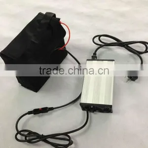 Factory Direct 12V20Ah Lithium Ion Battery With BMS and Charger thumbnail-3