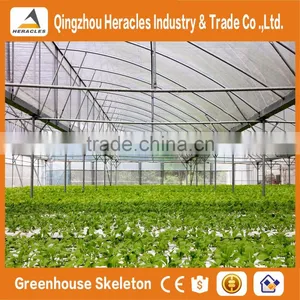 Heracles Trade Assurance Agricultural Tunnel Greenhouses thumbnail-5