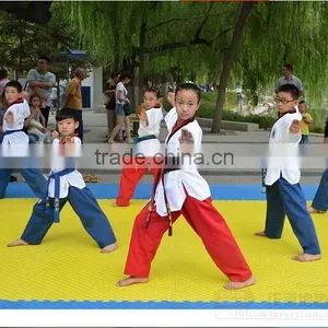 Taekwondo Mat/puzzle Mat/martial Arts Mat/aikido thumbnail-2