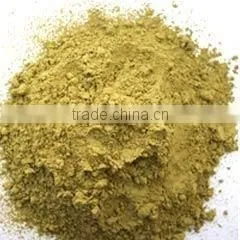 Senna Leaf Powder thumbnail-1
