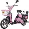 350W Electric Bike thumbnail-1
