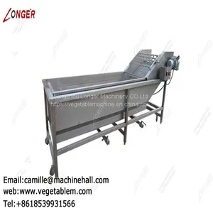 Fruit and Vegetable Washing Machine Manufacture|Tomato Washer|Spinach Cleaning Machine thumbnail-1