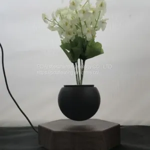 Hexagon Magnetic Floating Leivtate Flying Air Bonsai Pot Planter Tree thumbnail-1