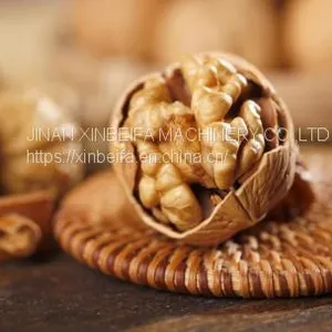 Walnut Drying Machine thumbnail-4