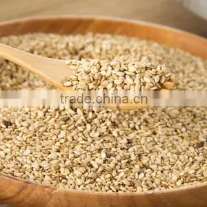 Natural White Sesame Seeds 99% 98% 95% (Mixed) thumbnail-1