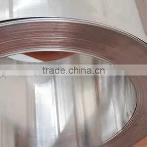 Kovar Alloy Controlled Expansion and Glass Sealed With SGS Standard thumbnail-3